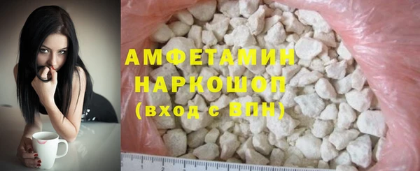 сатива Галич