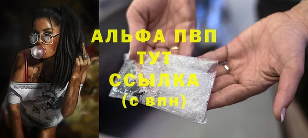 сатива Галич