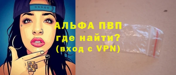 сатива Галич