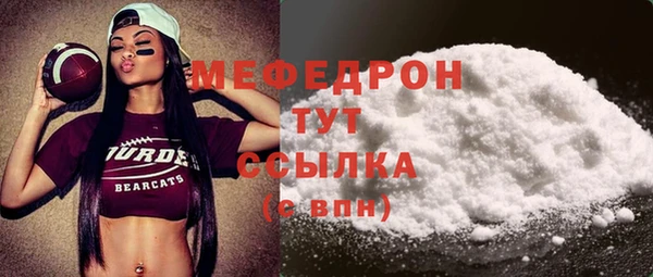 сатива Галич