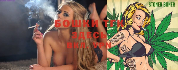 сатива Галич