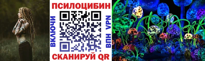 ссылка на мегу рабочий сайт  Ржев  Галлюциногенные грибы Psilocybine cubensis 