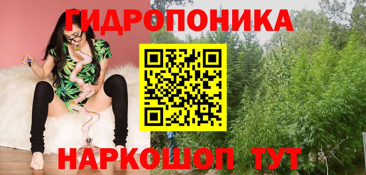 Бошки марихуана AK-47  Бошки марихуана индика  Бошки Шишки OG Kush  Ржев  МАРИХУАНА VHQ 